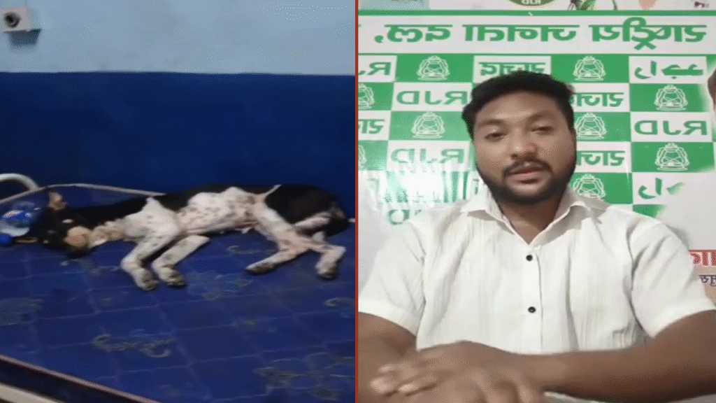मरीज की जगह बेड पर आराम कर रहा कुत्ता, संक्रमण का खतरा बढ़ा