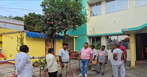 जापानी मियाजाकी आम का जादू कटिहार में!