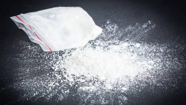 पूर्णिया में नशा कारोबार का भंडाफोड़, दो युवक गिरफ्तार