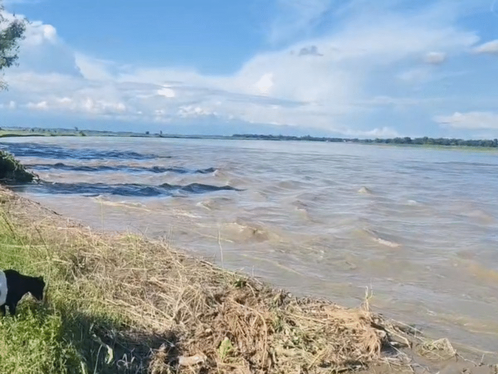  किशनगंज में कनकई नदी का कहर: 60 एकड़ जमीन बह गई