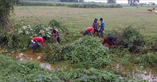 सोयाबीन तेल से भरा टैंकर नेपाल जाते समय पलटा