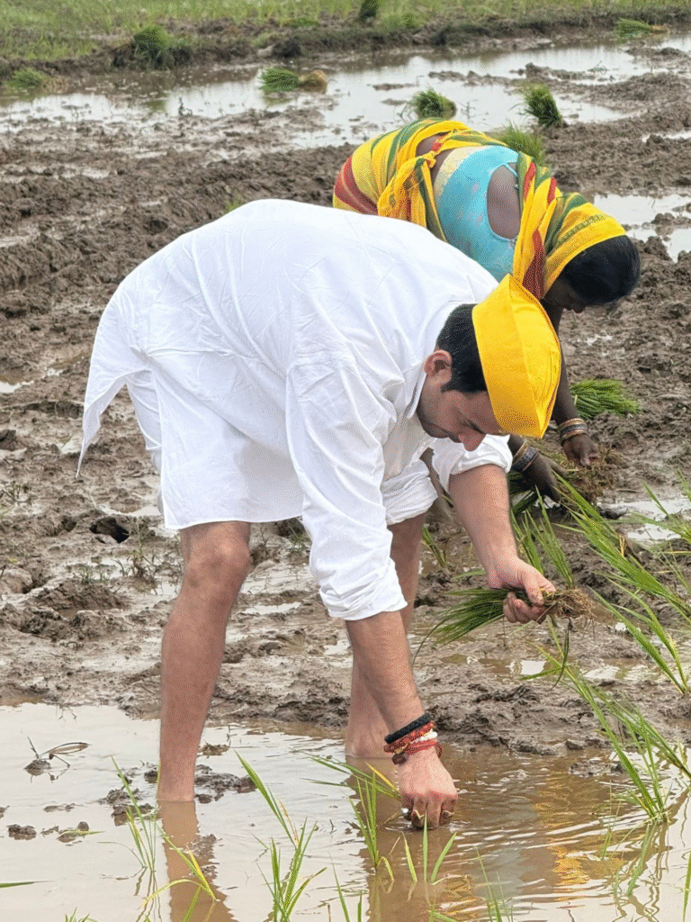 शाहपुर सीट से चुनावी बिगुल फूंका, तेज प्रताप यादव ने की धान रोपनी