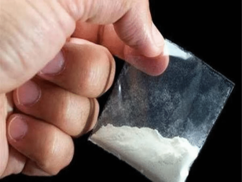 किशनगंज में नशा तस्करी का बड़ा खुलासा: स्कॉर्पियो से 565 ग्राम स्मैक बरामद