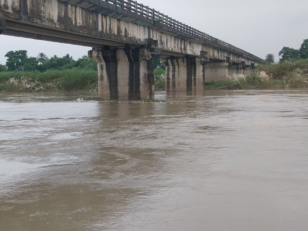 अररिया में बाढ़ का खतरा मंडराया