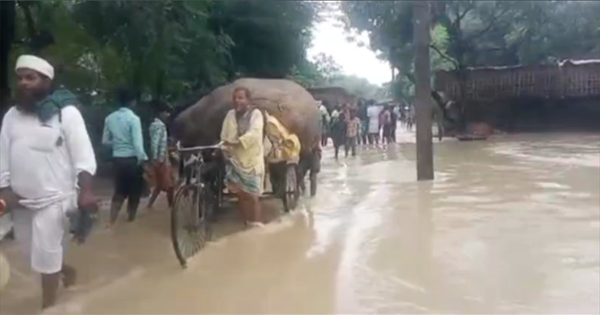 अररिया में बाढ़ का खतरा मंडराया