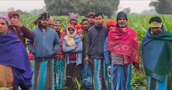 कटिहार में किसान की मक्का फसल तबाह