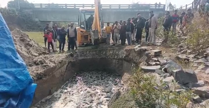 पूर्णिया में 4 टन प्रतिबंधित थाई मांगुर मछली बरामद