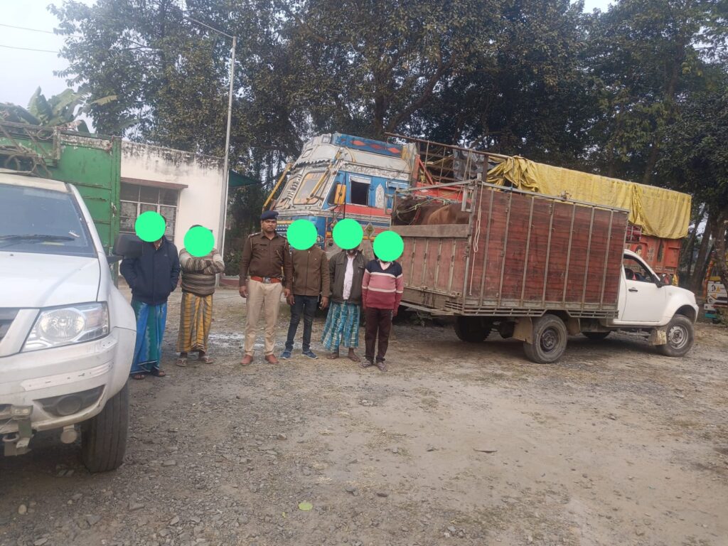 कोचाधामन में मवेशी तस्करी का भंडाफोड़, 16 पशु मुक्त