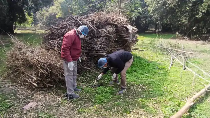 कटिहार में कौवों की संदिग्ध मौत से हड़कंप