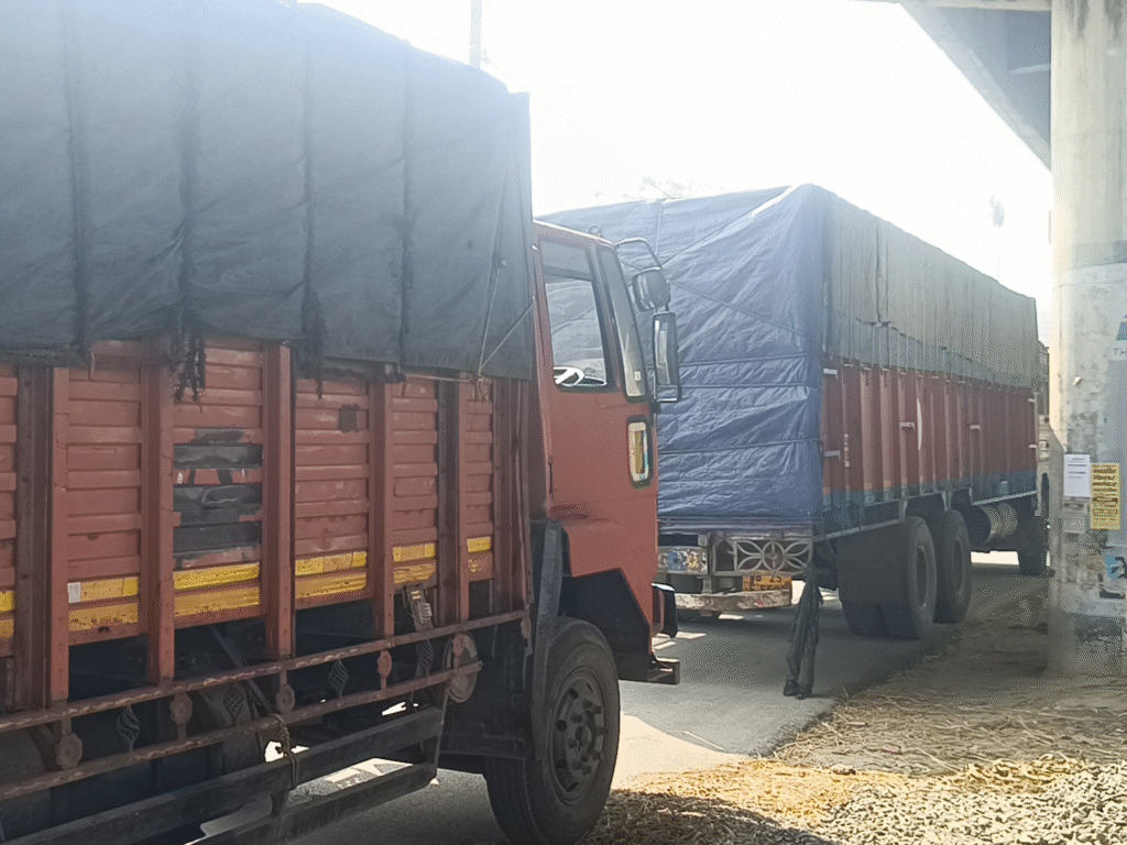 किशनगंज: मवेशी तस्करी के खिलाफ बड़ी कार्रवाई