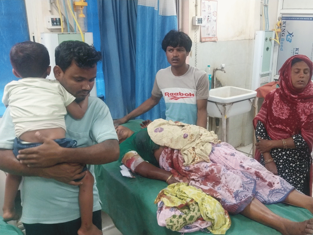 अररिया में NH-27 पर दर्दनाक सड़क हादसा