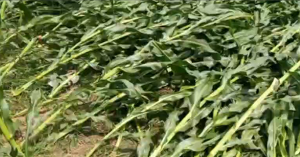  फसल नुकसान पर संसद में गूंजेगा मुद्दा