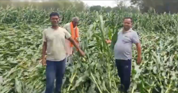  फसल नुकसान पर संसद में गूंजेगा मुद्दा