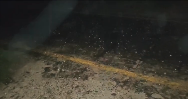 किशनगंज में तेज बारिश और ओलावृष्टि से बाजारों में अफरा-तफरी