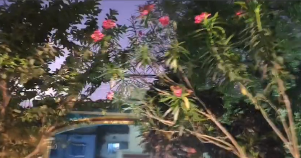 किशनगंज में तेज बारिश और ओलावृष्टि से बाजारों में अफरा-तफरी