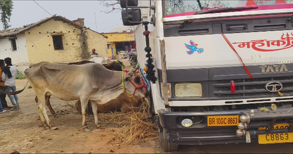 कटिहार में पशु तस्करी पर पुलिस की बड़ी कार्रवाई