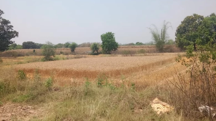 किशनगंज में जमीन कब्जे को लेकर विवाद गहराया,