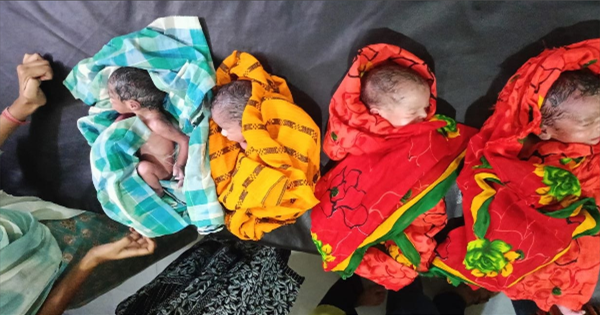 किशनगंज में महिला ने एक साथ चार बच्चों को दिया जन्म: किशनगंज में महिला ने एक साथ चार बच्चों को दिया जन्म, वर्षों के इंतजार के बाद परिवार में आई चार गुना खुशियां