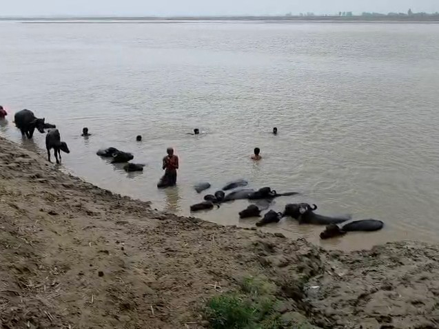 कटिहार बाढ़ संकट