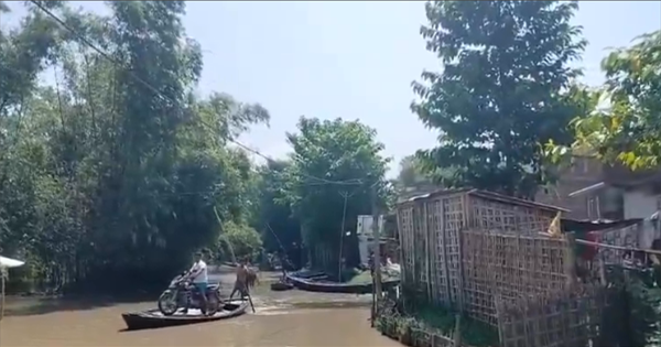 कटिहार बाढ़: कटिहार में बाढ़ का बढ़ता असर, 40 हजार से ज्यादा लोग प्रभावित; डीएम बोले- घबराने की जरूरत नहीं
