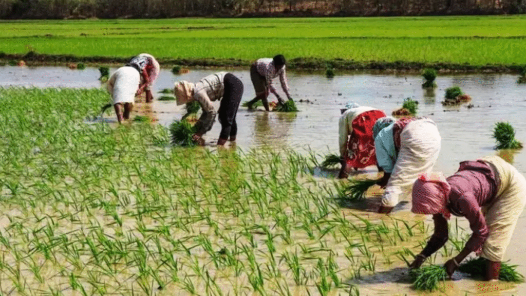 किशनगंज किसान मिलन