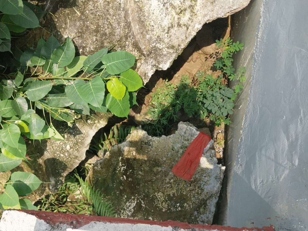 रेल लाइन सुरक्षा