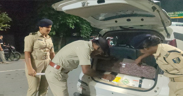 पूर्णिया पुलिस स्पेशल ड्राइव: पूर्णिया में रातभर पुलिस का स्पेशल ड्राइव, सड़कों पर उतरे अधिकारी; अपराधियों की गिरफ्तारी पर फोकस