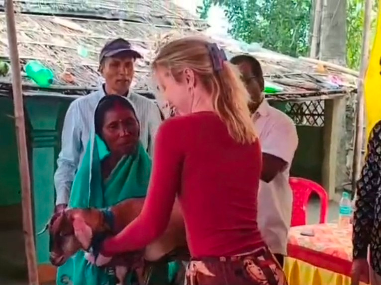वायरल लव स्टोरी फर्जी