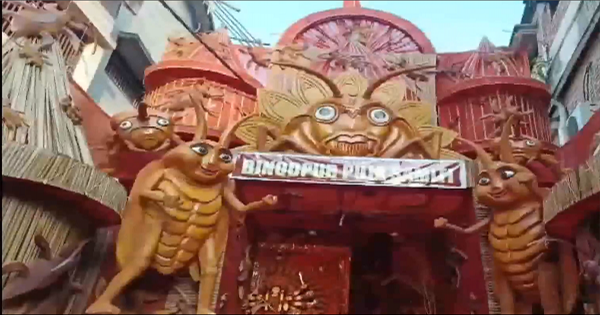 कटिहार दुर्गा पूजा पंडाल: कटिहार में कॉकरोच थीम वाला अनोखा दुर्गा पूजा पंडाल, विशाल कीड़ों की सजावट देख हैरान हो रहे लोग