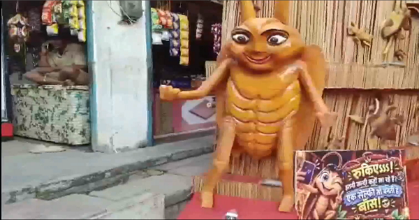 कटिहार दुर्गा पूजा पंडाल