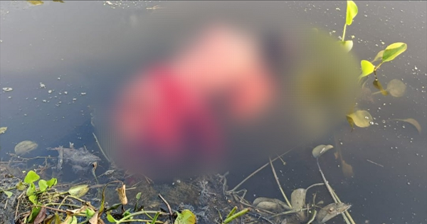 किशनगंज किशोरी शव: किशनगंज में तालाब से 15 वर्षीय किशोरी का शव बरामद, दो दिन से थी लापता; पुलिस जांच में जुटी