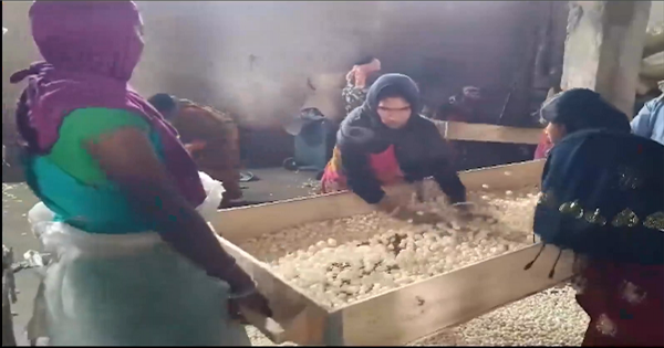 पूर्णिया का मखाना: पूर्णिया के मखाने की विदेशों में बढ़ी मांग, ग्रीस तक पहुंचा बिहार का लोकल उत्पाद