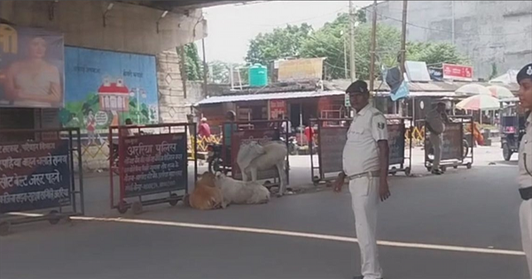 अररिया दशहरा सुरक्षा: अररिया में दुर्गा पूजा-दशहरा पर सुरक्षा का कड़ा पहरा, 251 स्थानों पर मजिस्ट्रेट और पुलिस तैनात